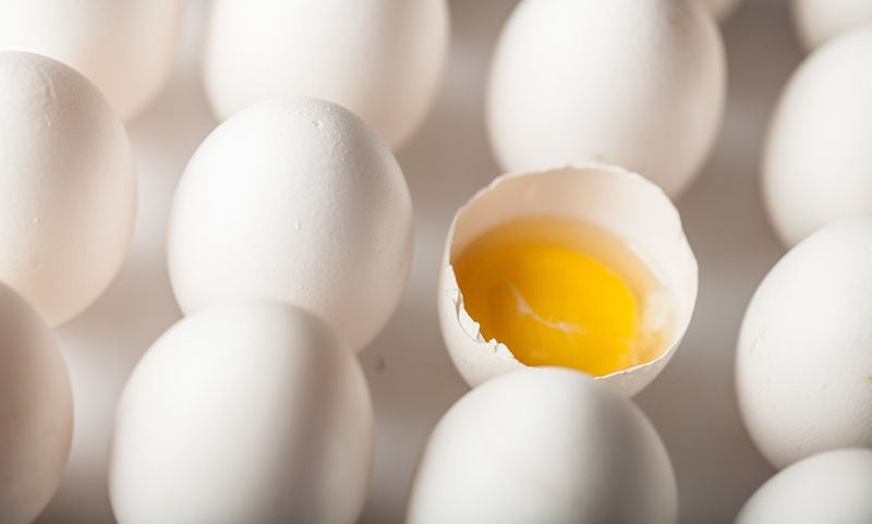 Διατροφικό σκάνδαλο: Τεράστιες οι ποσότητες μολυσμένων αυγών που έχουν εισαχθεί στη Γερμανία